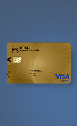 card-besoin-visa-gold-business.jpg card-besoin-visa-gold-business.jpg